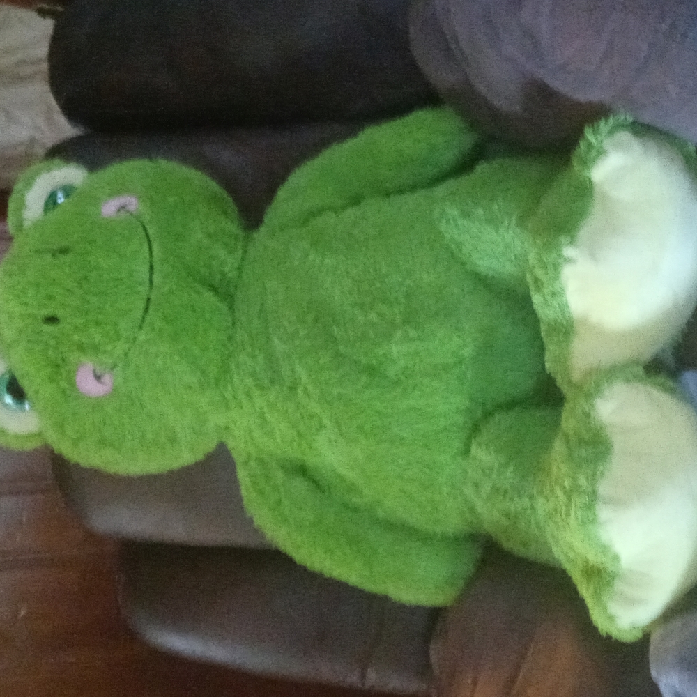A big frog stuffed animal